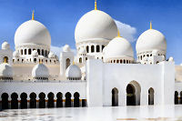 Abu Dhabi Shore Excursion: Sheikh Zayed Mosque and Falcon Hospital
