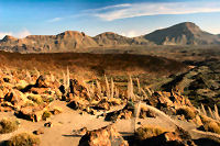 Tenerife Shore Excursion: Private Teide National Park and Winery Tour with Lunch