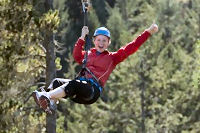 Victoria Shore Excursion: Small-Group Zipline Adventure